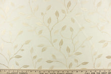 Load image into Gallery viewer, This luxurious duotone fabric features embroidered foliage on a silky cream background.
