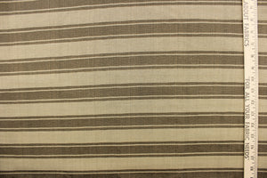 This yarn dyed fabric features a striped pattern in khaki and brown.  This fabric would enrich any room whether you use it for drapery or an accent chair.  It is also perfect for throw pillows, home décor.  The possibilities are endless. 