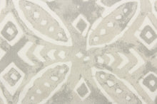 Load image into Gallery viewer, This outdoor fabric features a medallion design in white against a pale gray .
