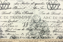 Load image into Gallery viewer,  The fabric features French wording in varies scripts along with crowns, post marks and other designs in black, and gray against white .
