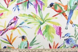 This fabric features a bird design in vibrant colors of purple, green, orange, pink, blue, yellow, black and white.