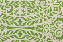 Load image into Gallery viewer, This fabric features medallion design in green and natural.
