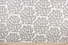 Load image into Gallery viewer, This fabric features a dot design in gray against white.
