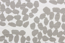 Load image into Gallery viewer, This fabric features a dot design in gray against white.
