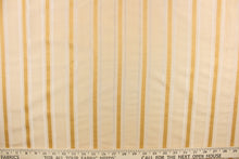 Load image into Gallery viewer, This stunning yarn dyed fabric features a striped pattern in light beige, with gold and champagne stripes . 
