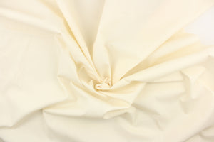 This fabric is solid off white. Use this for drapery lining.