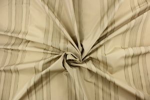 This fabric features a multi width stripe design in varying shades of beige.