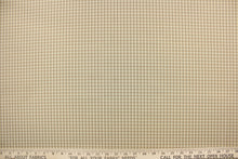 Load image into Gallery viewer, This yarn dye stripe fabric features a small plaid or checkered design in cream, khaki and gray or taupe. 
