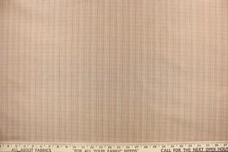This stunning yarn dyed fabric features a small plaid design in beige, khaki and pale mauve.
