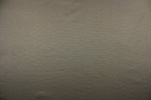 This mock linen in shimmering graphite gray would be perfect for blouses, shirts, dresses, light jackets, pillows, bedding and drapery.