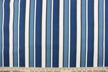 Load image into Gallery viewer, This outdoor fabric features a stripe design in white, black and varying shades of blue.
