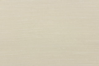 This multi-purpose mock linen in the color linen would be great for home decor, window treatments, pillows, duvet covers, tote bags and more.  We offer this fabric in other colors.