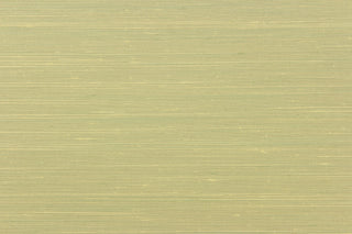 This multi-purpose mock linen in spring green would be great for home decor, window treatments, pillows, duvet covers, tote bags and more.  We offer this fabric in other colors.