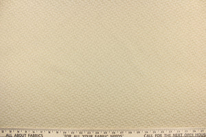 This duo tone fabric in alabaster is great for home decor such as multi- purpose upholstery, window treatments, pillows, duvet covers, tote bags and more.  It has a soft workable feel yet is stable and durable with a rating of 15,000 double rubs. 