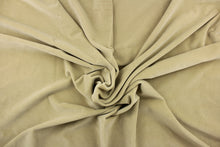 Load image into Gallery viewer, This velvet features a beautiful solid beige color.
