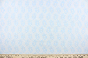 This lace features a small woven floral design in baby blue 
