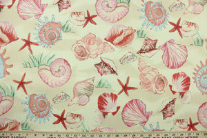 Sea shells is a multi use fabric that features large assorted shells in shades of powder blue, pink, mauve, dusty rose, apricot, brick red and brown on a cream background.  It is perfect for outdoor settings or indoors in a sunny room.  It is stain and water resistant and can withstand up to 700 hours of direct sun exposure.  Uses include decorative pillows, cushions, chair pads, tote bags and upholstery.  We offer this pattern in several colors.