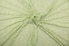 Load image into Gallery viewer,  This lace features a woven floral design in light green .

