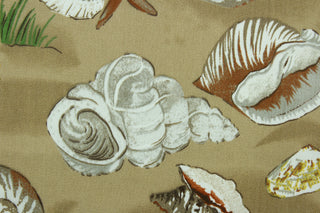 Seashells is a multi use fabric that features large assorted shells in tan, white and yellow on a brown background.  It is perfect for outdoor settings or indoors in a sunny room.  It is stain and water resistant and can withstand up to 700 hours of direct sun exposure.  Uses include decorative pillows, cushions, chair pads, tote bags and upholstery.  We offer this pattern in several colors.