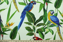 Load image into Gallery viewer, This fabric features vibrant parrots in blue, red, orange, green, black, white, yellow and brown . 
