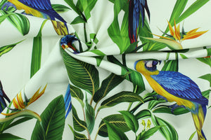 This fabric features vibrant parrots in blue, red, orange, green, black, white, yellow and brown . 