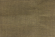 Load image into Gallery viewer, A fabric in brown with hints of golden tan  great for umbrellas, outdoor upholstery and more.
