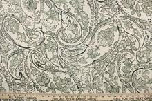 Load image into Gallery viewer, This fabric features a paisley design in  green gray tone set against a natural white . 
