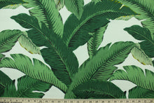 Load image into Gallery viewer, This fabric features palm tree leave design in green, black, golden tan and white.
