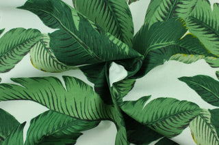 This fabric features palm tree leave design in green, black, golden tan and white.