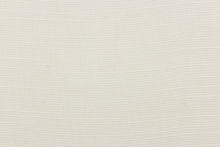 Load image into Gallery viewer, This sheer fabric features a design in a off white. 
