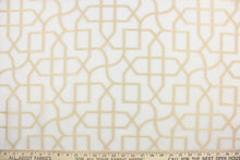 Load image into Gallery viewer, This sheer fabric features a geometric design in gold against white.
