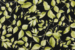 This fabric features a leaf and stem design in light and dark green on a black background.  It has a nice soft hand and would be great for quilting, crafting and home decor.  We offer this fabric in several other colors.