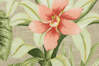 This fabric features large tropical flowers and lush foliage on a solid dark beige background.  It is perfect for outdoor settings or indoors in a sunny room.  It can withstand up to 500 hours of sunlight and is water and stain resistant.  Perfect for porches, patios and pool side.  Uses include toss pillows, cushions, upholstery, tote bags and more.  Colors included are shades of red, green and yellow.
