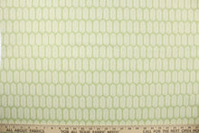 Load image into Gallery viewer, This fabric features a leaf design in white set against a light green. 
