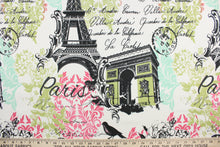 Load image into Gallery viewer, This fabric features a Paris design in black, white, pink, light turquoise and green .
