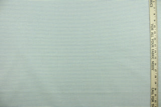 This fabric features blue stripes on a white background.  It can be used for several different statement projects including window accents (drapery, curtains and swags), decorative pillows, hand bags, bed skirts, duvet covers, light duty upholstery and craft projects.  It has a soft workable feel yet is stable and durable.  