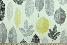 Load image into Gallery viewer, Rynell is a versatile medium/heavyweight fabric featuring a a leaf design in grey, brown, yellow and off-white.  It can be used for several different statement projects including window accents (drapery, curtains and swags), decorative pillows, hand bags, bed skirts, duvet covers, upholstery and craft projects.  
