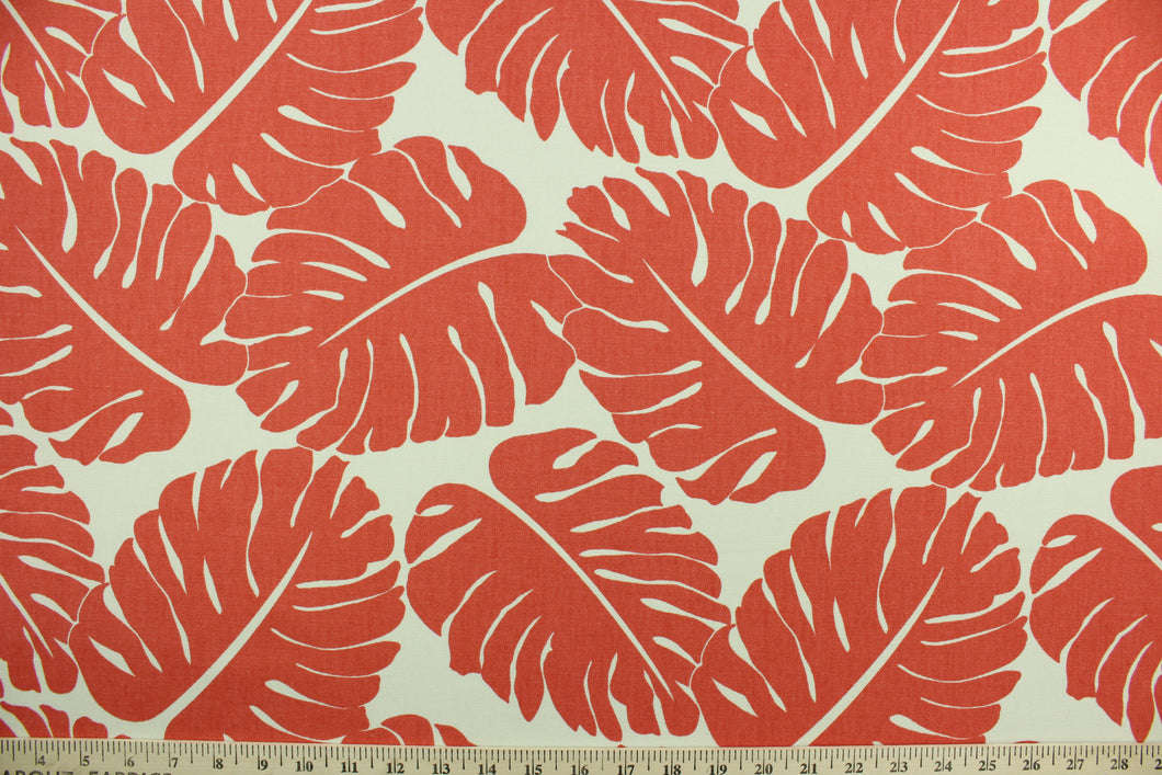  Albury features palm leaves in coral on a white background.  It can be used for several different statement projects including window accents (drapery, curtains and swags), decorative pillows, hand bags, bed skirts, duvet covers, light duty upholstery and craft projects.  It has a soft workable feel yet is stable and durable.  We offer this pattern in several other colors.