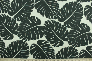  Albury features palm leaves in charcoal on a white background.  It can be used for several different statement projects including window accents (drapery, curtains and swags), decorative pillows, hand bags, bed skirts, duvet covers, light duty upholstery and craft projects.  It has a soft workable feel yet is stable and durable.  We offer this pattern in several other colors.