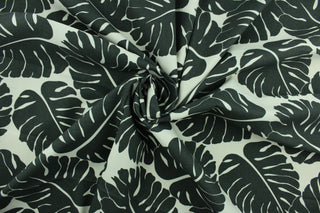  Albury features palm leaves in charcoal on a white background.  It can be used for several different statement projects including window accents (drapery, curtains and swags), decorative pillows, hand bags, bed skirts, duvet covers, light duty upholstery and craft projects.  It has a soft workable feel yet is stable and durable.  We offer this pattern in several other colors.