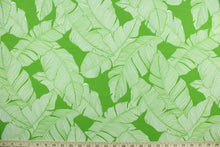 Load image into Gallery viewer, This multi use outdoor fabric features a large tropical leaf design in lime green and white.  It is perfect for outdoor settings or indoors in a sunny room.  It is stain and water resistant and can withstand up to 500 hours of direct sun exposure and has a durability rating of 10,000 double rubs.  Uses include decorative pillows, cushions, chair pads, tote bags and upholstery.
