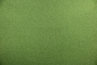 This fabric in green offers beautiful design, style and color to any space in your home.  It has a soft workable feel and is perfect for window treatments (draperies, valances, curtains, and swags), bed skirts, duvet covers, light upholstery, pillow shams and accent pillows. 