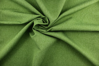 This fabric in green offers beautiful design, style and color to any space in your home.  It has a soft workable feel and is perfect for window treatments (draperies, valances, curtains, and swags), bed skirts, duvet covers, light upholstery, pillow shams and accent pillows. 