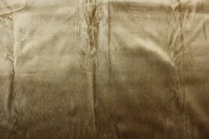  An upholstery velvet in a beautiful solid dull gold.