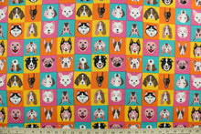 Load image into Gallery viewer, This fabric features various dog faces against a checkered background. The versatile lightweight fabric is soft and easy to sew.  It would be great for quilting, crafting and sewing projects.  Colors included are brown, black, pink, orange, yellow, orange and turquoise.
