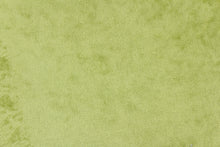 Load image into Gallery viewer,  An upholstery velvet in a beautiful solid light green .
