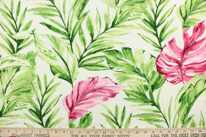 This outdoor fabric features a tropical leaf design in pink, hot pink, green, light green, and white 