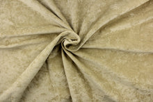 Load image into Gallery viewer, This velvet features a beautiful solid khaki. 
