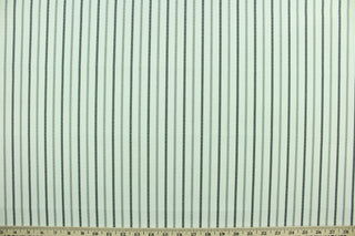 Agnes is an outdoor print that features a stripe design in pewter and black against a white background.  This versatile, long-lasting fabric can withstand up to 500 hours of sunlight, water and stain resistant and has 15,000 double rubs.  It is perfect for lounge cushions, pool furniture, tablecloths, decorative pillows and upholstery projects.  This fabric has a slightly stiff feel but is easy to work with.  