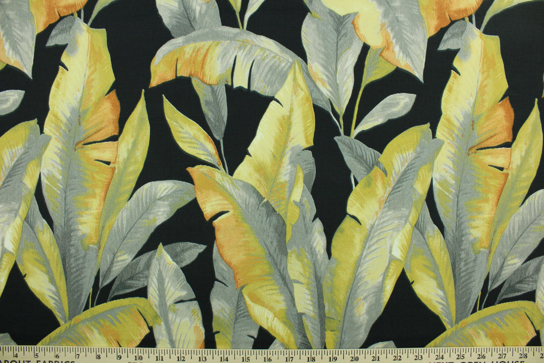 This Solarium outdoor decorative print features large banana leaves in shades of gray and golden yellow against a black background.  This versatile, long-lasting fabric can withstand up to 500 hours of sunlight, water and stain resistant and has 15,000 double rubs.  It is perfect for lounge cushions, pool furniture, tablecloths, decorative pillows and upholstery projects.  This fabric has a slightly stiff feel but is easy to work with.  